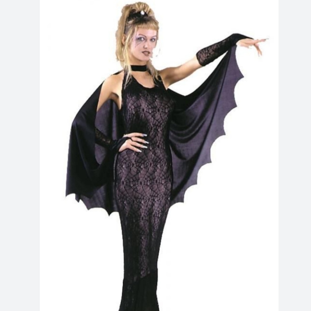 SEDUCTRESS OF THE WEB Adult Costume, Gothic Black, Lacy & Super Sexy! Sz… - Picture 7 of 10
